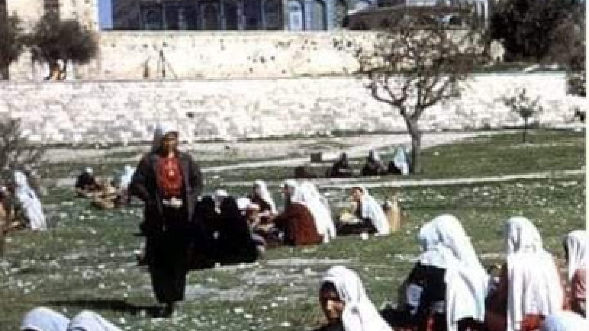 حَرَم الأمّهات
