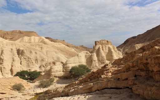( وادي زويرة، وتظهر في الصورة بقايا حصن زويرة المملوكي ،خالد عودة الله، 2019) 